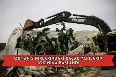 Orman Sınırlarındaki Kaçak Yapıların Yıkımına Başlandı