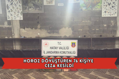 Horoz Dövüştüren 76 Kişiye Ceza Kesildi