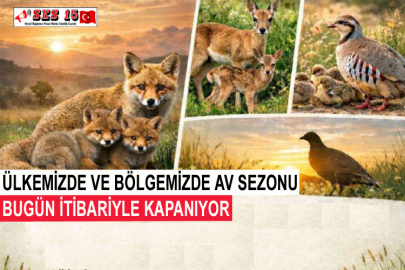 Ülkemizde Ve Bölgemizde Av Sezonu Bugün İtibariyle Kapanıyor