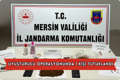 Uyuşturucu Operasyonunda 1 Kişi Tutuklandı