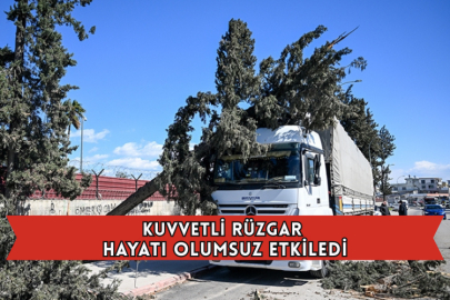 Kuvvetli Rüzgar Hayatı Olumsuz Etkiledi