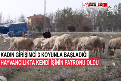 Kadın Girişimci 3 Koyunla Başladığı Hayvancılıkta Kendi İşinin Patronu Oldu