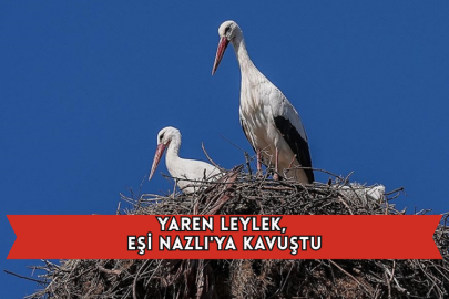 Yaren Leylek, Eşi Nazlı'ya Kavuştu