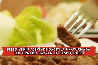 Belediyenin Aşevinde Dağıtılan Kavurmada Tek Tırnaklı Hayvan Eti Tespit Edildi