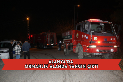 Alanya'da Ormanlık Alanda Yangın Çıktı