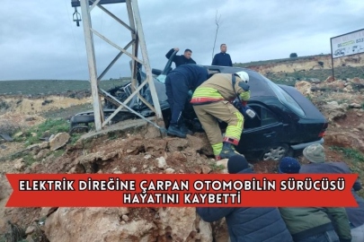 Elektrik Direğine Çarpan Otomobilin Sürücüsü Hayatını Kaybetti
