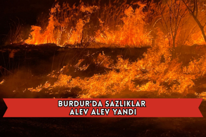 Burdur'da Sazlıklar Alev Alev Yandı