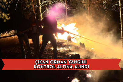 Çıkan Orman Yangını Kontrol Altına Alındı