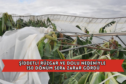 Şiddetli Rüzgar ve Dolu Nedeniyle 150 Dönüm Sera Zarar Gördü