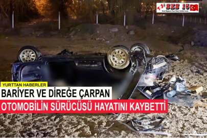 Bariyer Ve Direğe Çarpan Otomobilin Sürücüsü Hayatını Kaybetti