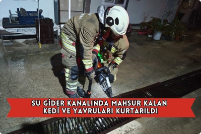 Su Gider Kanalında Mahsur Kalan Kedi Ve Yavruları Kurtarıldı