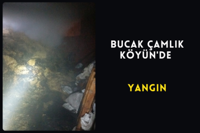 Bucak Çamlık Köyün'de Yangın