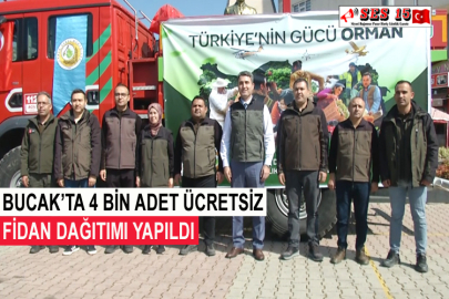 Bucak’ta 4 Bin Adet Ücretsiz Fidan Dağıtımı Yapıldı