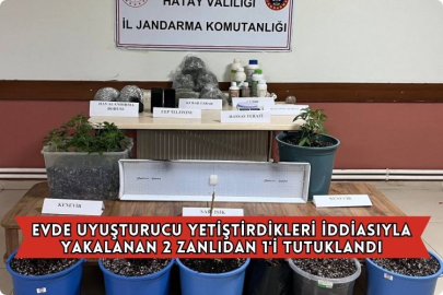 Evde Uyuşturucu Yetiştirdikleri İddiasıyla Yakalanan 2 Zanlıdan 1'i Tutuklandı