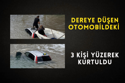 Dereye Düşen Otomobildeki 3 Kişi Yüzerek Kurtuldu