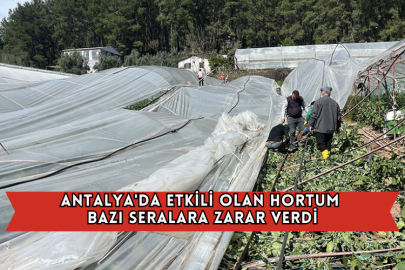 Antalya'da Etkili Olan Hortum Bazı Seralara Zarar Verdi