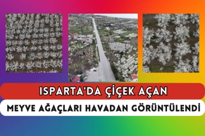 Isparta'da Çiçek Açan Meyve Ağaçları Havadan Görüntülendi