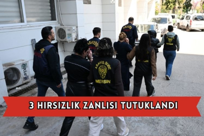 3 Hırsızlık Zanlısı Tutuklandı