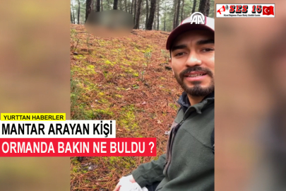 Mantar Arayan Kişi Ormanda Bakın Ne Buldu ?