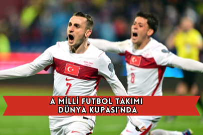 A Milli Futbol Takımı Dünya Kupası'nda
