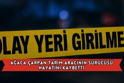 Ağaca Çarpan Tarım Aracının Sürücüsü Hayatını Kaybetti