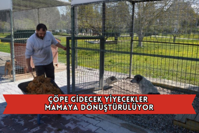 Çöpe Gidecek Yiyecekler Mamaya Dönüştürülüyor