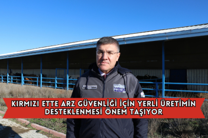 Kırmızı Ette Arz Güvenliği İçin Yerli Üretimin Desteklenmesi Önem Taşıyor