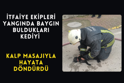 İtfaiye Ekipleri Yangında Baygın Buldukları Kediyi Kalp Masajıyla Hayata Döndürdü