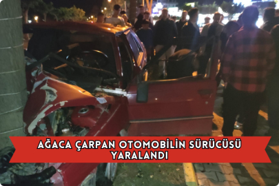 Ağaca Çarpan Otomobilin Sürücüsü Yaralandı