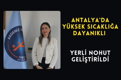 Antalya'da Yüksek Sıcaklığa Dayanıklı Yerli Nohut Geliştirildi