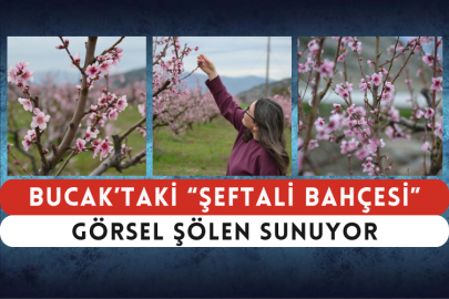 Bucak’taki “Şeftali Bahçesi” Görsel Şölen Sunuyor