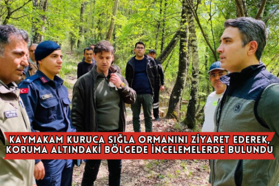 Kaymakam Kuruca Sığla Ormanını Ziyaret Ederek, Koruma Altındaki Bölgede İncelemelerde Bulundu
