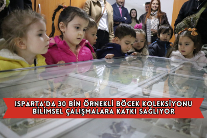 Isparta'da 30 Bin Örnekli Böcek Koleksiyonu Bilimsel Çalışmalara Katkı Sağlıyor