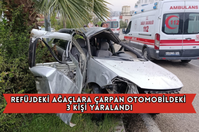 Refüjdeki Ağaçlara Çarpan Otomobildeki 3 Kişi Yaralandı