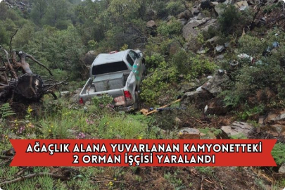 Ağaçlık Alana Yuvarlanan Kamyonetteki 2 Orman İşçisi Yaralandı