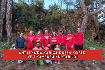 Antalya'da Yarığa Düşen Köpek Ve 6 Yavrusu Kurtarıldı