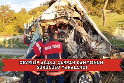 Devrilip Ağaca Çarpan Kamyonun Sürücüsü Yaralandı