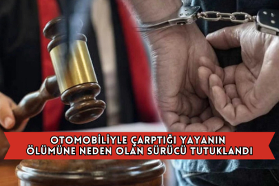 Otomobiliyle Çarptığı Yayanın Ölümüne Neden Olan Sürücü Tutuklandı