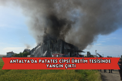 Antalya'da Patates Cipsi Üretim Tesisinde Yangın Çıktı