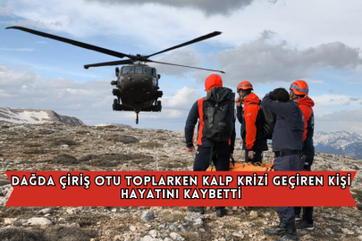 Dağda Çiriş Otu Toplarken Kalp Krizi Geçiren Kişi Hayatını Kaybetti