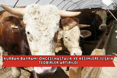 Kurban Bayramı Öncesi Hastalık ve Kesimlere İlişkin Tedbirler Artırıldı