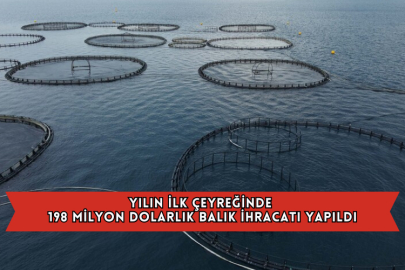 Yılın İlk Çeyreğinde 198 Milyon Dolarlık Balık İhracatı Yapıldı