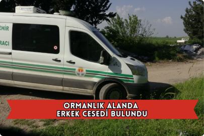 Ormanlık Alanda Erkek Cesedi Bulundu