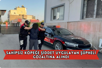 Sahipsiz Köpeğe Şiddet Uygulayan Şüpheli Gözaltına Alındı