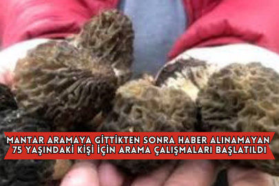 Mantar Aramaya Gittikten Sonra Haber Alınamayan 75 Yaşındaki Kişi İçin Arama Çalışmaları Başlatıldı