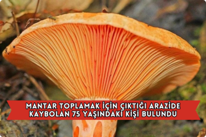 Mantar Toplamak İçin Çıktığı Arazide Kaybolan 75 Yaşındaki Kişi Bulundu