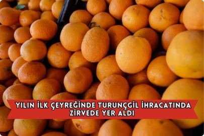 Yılın İlk Çeyreğinde Turunçgil İhracatında Zirvede Yer Aldı