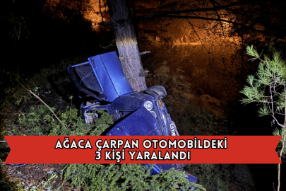 Ağaca Çarpan Otomobildeki 3 Kişi Yaralandı