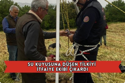Su Kuyusuna Düşen Tilkiyi İtfaiye Ekibi Çıkardı