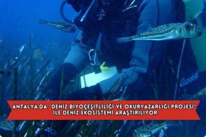 Antalya'da "Deniz Biyoçeşitliliği Ve Okuryazarlığı Projesi" İle Deniz Ekosistemi Araştırılıyor
